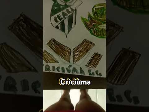 o time de Santa Catarina:Criciúma