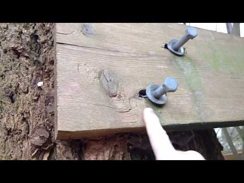 Treehouse Pulling Through Bolts