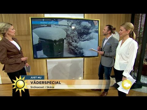 Snökaos i Skåne - Nyhetsmorgon (TV4)