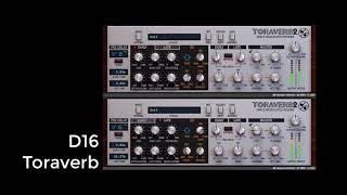 Video thumbnail for D16 Toraverb 2 Wild Experiment by Michiel van der Veen