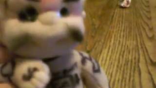 GG Allin &quot;I Kill Everything I Fuck&quot;