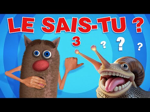 Foufou - Did You Know? Incredible secrets about animals…and even astronauts! (S03) 4K