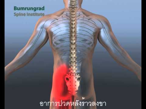 สิ่งที่ควรทำเพื่อเพิ่มอวัยวะเพศชาย วางค้อน Toro