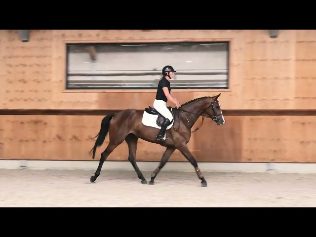 Gaits