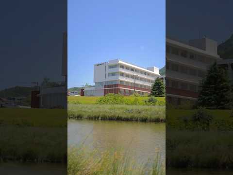 広島文教大学の“今”をぎゅっとまとめました✨
