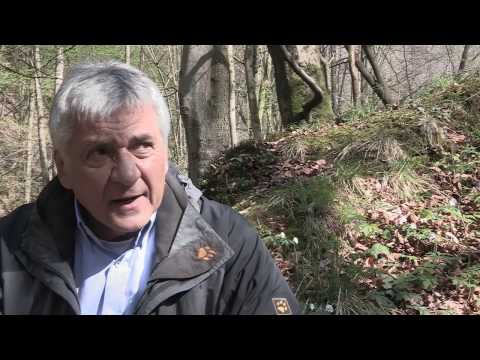 Pfeife, Tabak, Rauchgenuss - Tabakvorstellung Savinelli English Mixture