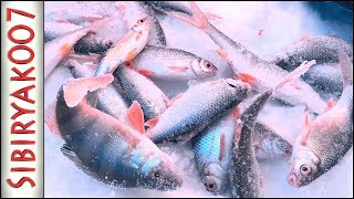 Карбоновые кивки для зимней рыбалки