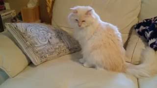 When all you wanna do is sleep, but your buddy...