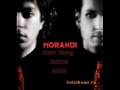 Morandi Colors 2009