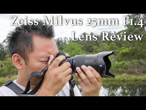Video thumbnail for Video Review 2
