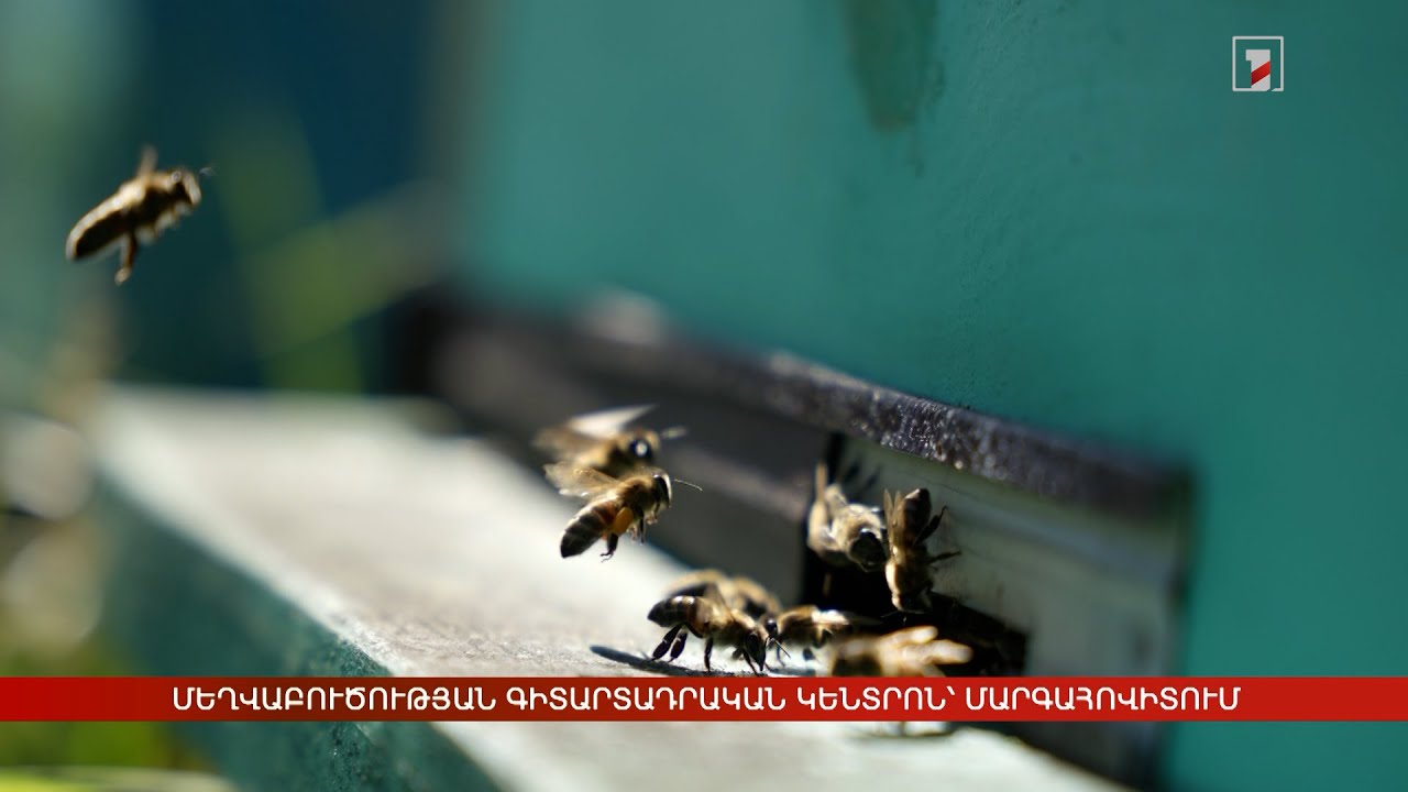 Մեղվաբուծության առաջատար գիտաարտադրական կենտրոն՝ Մարգահովիտում