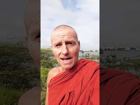 Jesus & The Buddha. Timeless teachings