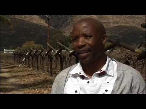 Special Assignment: By their Fruits, 25 October 2015