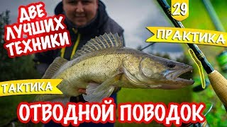 Где когда как ловят на отводной поводок