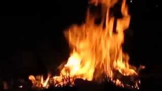 SAN FRANCISCO - PEZ REVOLVER