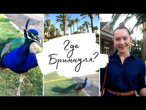 Что случилось с Бриннулей? Беседуем в парке с павлинами | Жизнь в США