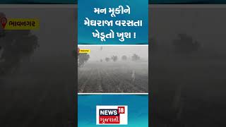 Bhavnagar Rain News | મન મૂકીને મેઘરાજા વરસતા ખેડૂતો ખુશ ! | Gujarati News | N18S #shorts 