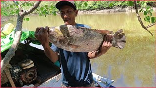 Download lagu 2 hari 2 malam Petualangan mancing ikan merawai , masak dan makan di kec, pulau maya mp3 Download lagu 2 hari 2 malam Petualangan mancing ikan merawai , masak dan makan di kec, pulau maya mp3