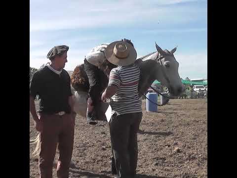 Gran final del campeonato en Juveniles de pruebas de riendas en Oro Verde Entre Rios