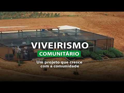 Viveirismo Comunitário – Semeando no Sertão | AVSI Brasil e Neoenergia