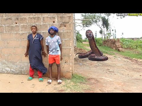 Tiger vs Snake Girl ep 2 | Mark Angel Comedy | OGB Recent | Sirbalo Comedy | Brainjotter Comedian