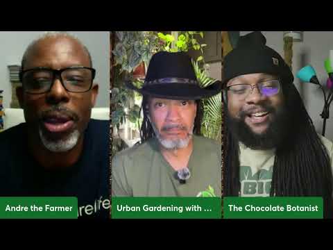 The Secret Lives of Plants: Weird Facts That Will Blow Your Mind | Episode 4 TDOG Podcast