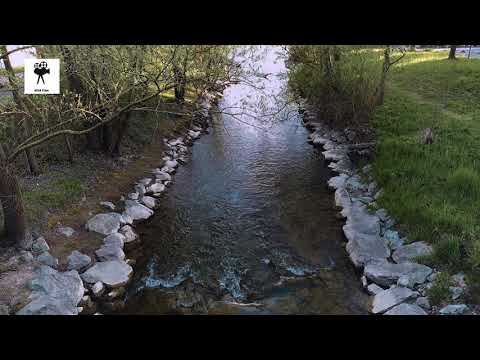 Ein #Bild von #Bodensee