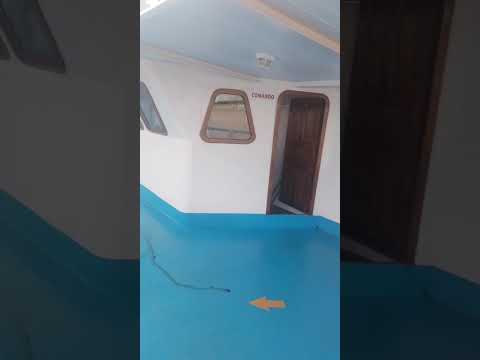 capitao obidensebar boa tarde estamos ao vivo direto do município itacaotiara Amazonas para todos Br