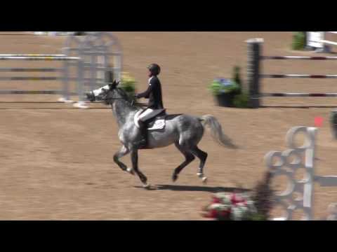 Video of CLIMBUS ridden by NICK NOVAK from ShowNet!