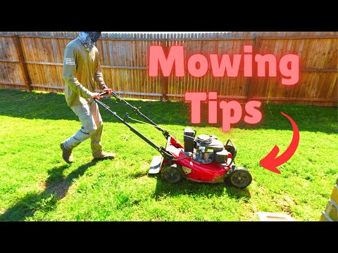How to Mow a Lawn Like a Pro (Best Tips &amp; Techniques)