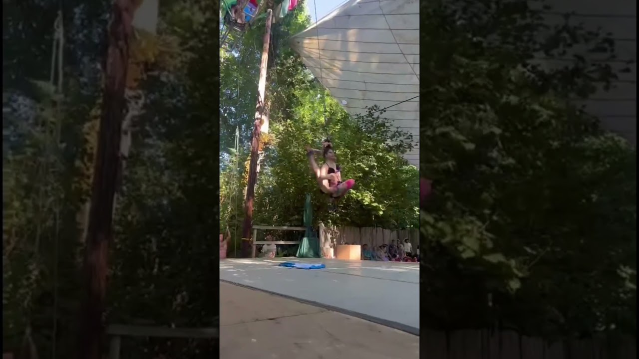 Promotional video thumbnail 1 for Orchid Hair Hanging and Contortion