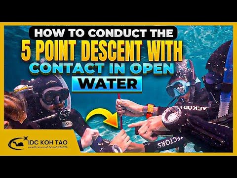 How to Conduct the Five Point Descent with Contact in Open Water Dive #2