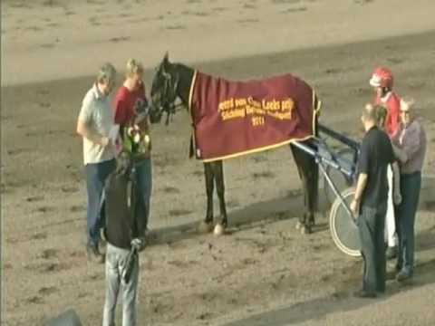 Amy Greenacre - eig./tr. fam. Verhulst - winnaar "Peerd van Ome Loeks Competitie 2011" Groningen