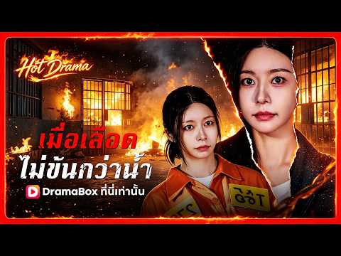 เมื่อเลือดไม่ข้นกว่าน้ำ(พากย์ไทย)  | ละครสั้นล่าสุดปี 2026 #drama #dramabox
