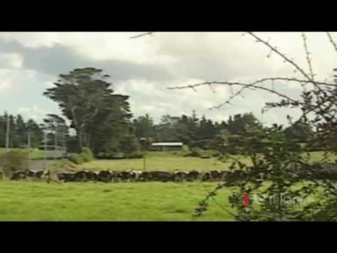 Auckland Council continues with development despite opposition