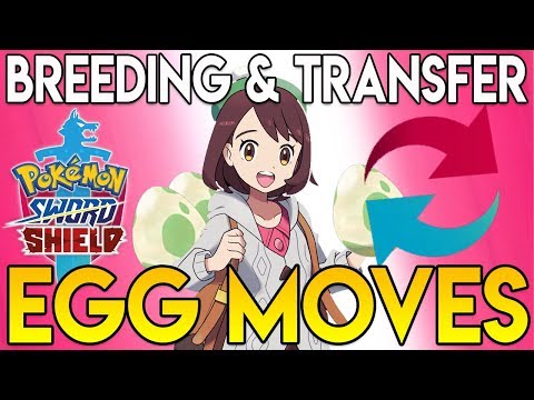 How to BREED and TRANSFER EGG MOVES - Pokemon Sword and Shield