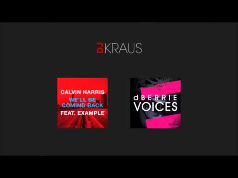 Calvin Harris & Example vs dBerrie - We Are Back Voices (DJ Kraus Final Edit)