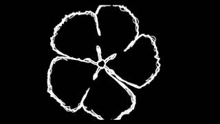 O Lado Experimental (Dead Combo)