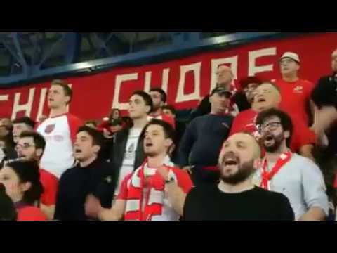 immagine di anteprima del video: Lupi - Mondovì