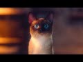 Cat WoW WOTLK Classic Ad China 2022