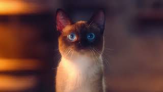 [閒聊] 中國經典版烏妖王之怒宣傳影片