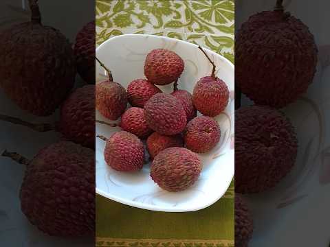 Lichi #fahmi #shortvideo #youtubeshorts #lichi