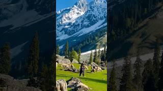 Download lagu Welcome to kashmir - kash mera dil koi kagaj ka tukra hota #travelling  #kashmirvalley #kashmiri mp3