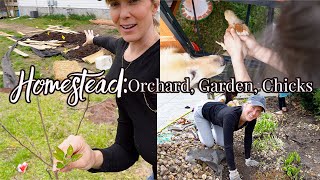 FULL HOMESTEAD UPDATE