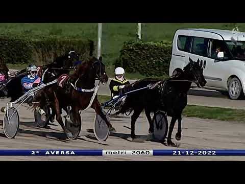 Aversa trotto 21 Dicembre 2022 - 2° Corsa