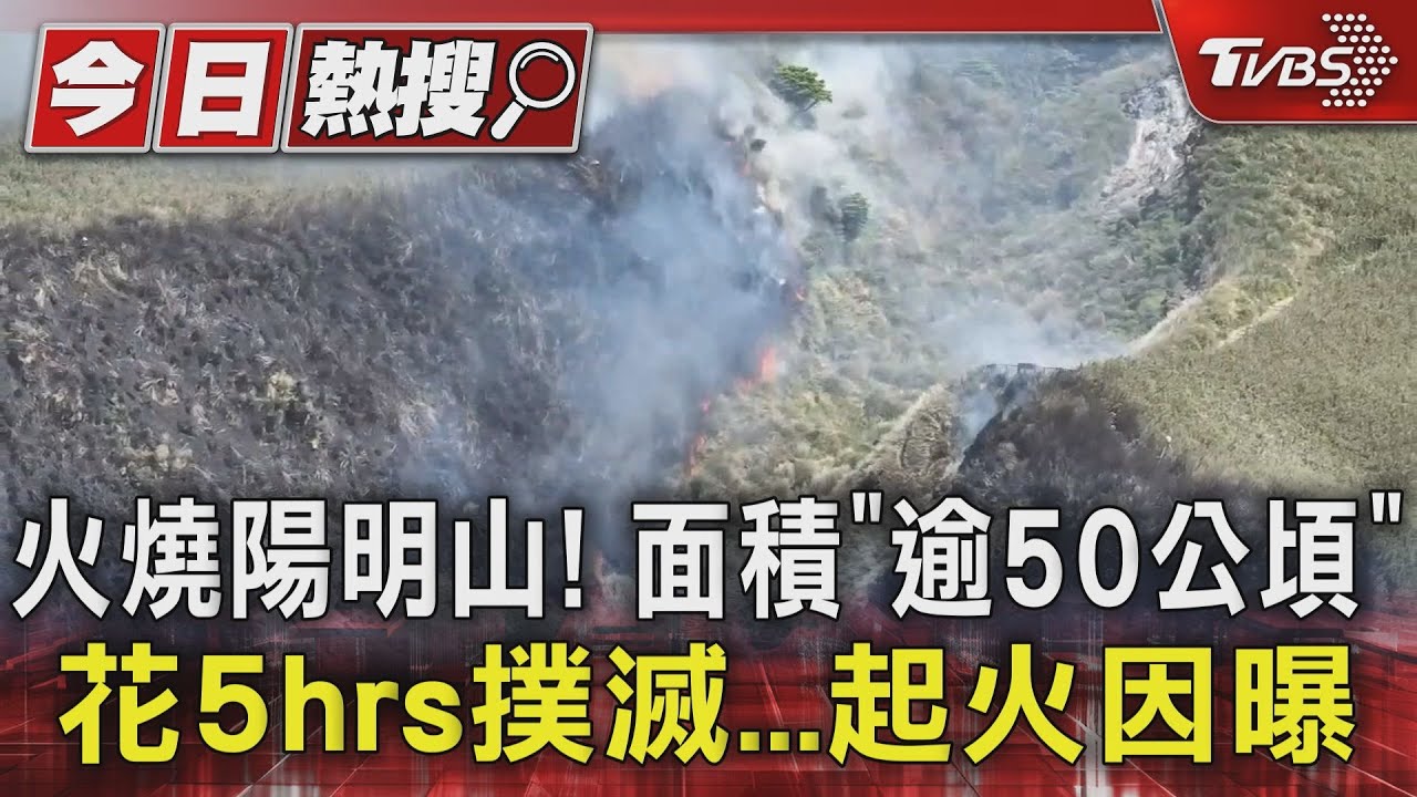 火燒陽明山!面積「逾50公頃」花5hrs撲滅...起火因曝