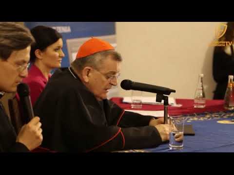 Kardinal Burke über die Piusbruderschaft