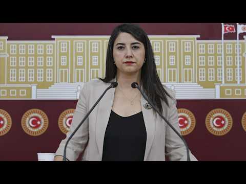 DEM Partili Dilan Kunt Ayan: “Urfa’ya verilen müjdeler tutulmadı”