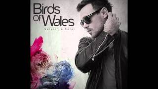 Birds of Wales - My Lady in July(Album Version 2010)