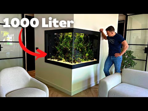 THIS 1000 LITER PLANTED AQUARIUM WILL BLOW YOUR MIND! BIG CUSTOMER PROJECT